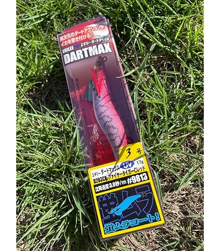 Amazon.co.jp: 1番釣れるカラー22番 ダートマックス TR 30g-BK 2